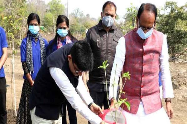 CM Chouhan Planted Saplings in MP स्मार्ट गार्डन में संस्था संग सीएम ने लगाए बादाम और सप्तपर्णी के पौधे