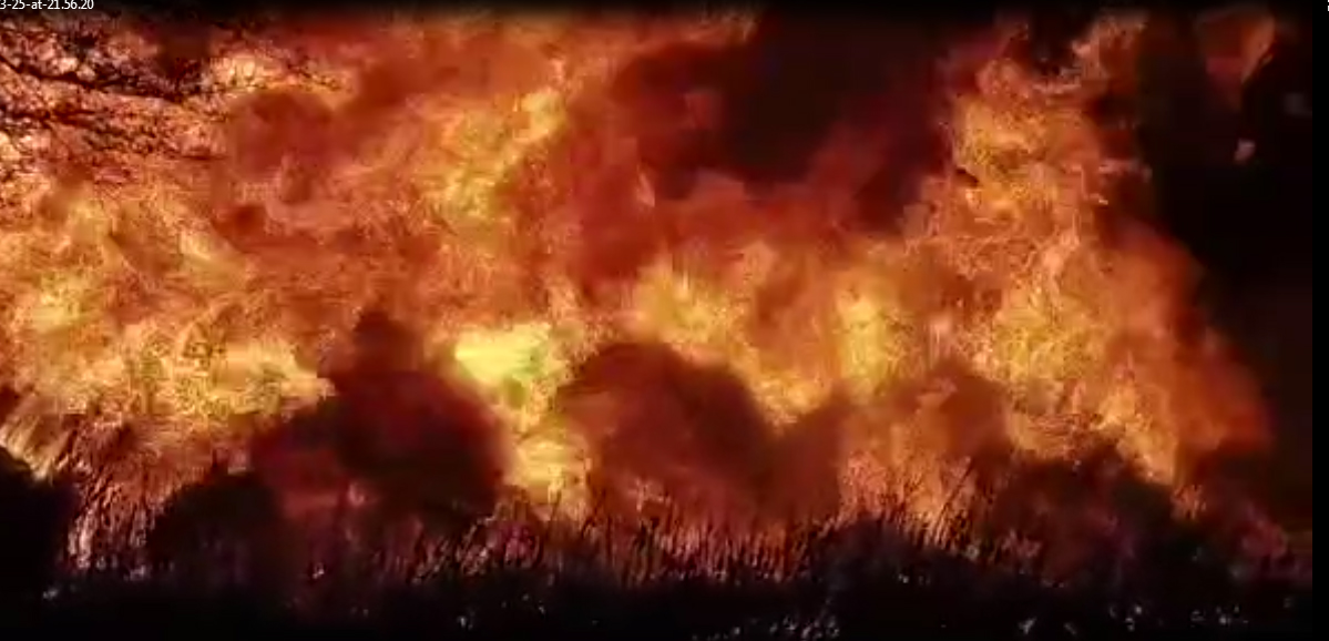 Fire in Wheat Crop दमकल पहुंचने तक विधायक ने संभाला मोर्चा