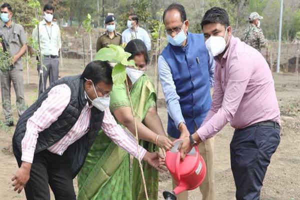 Bhopal Towards Cleanliness मुख्यमंत्री ने स्मार्ट उद्यान में लगाए बादाम और केसिया के पौधे