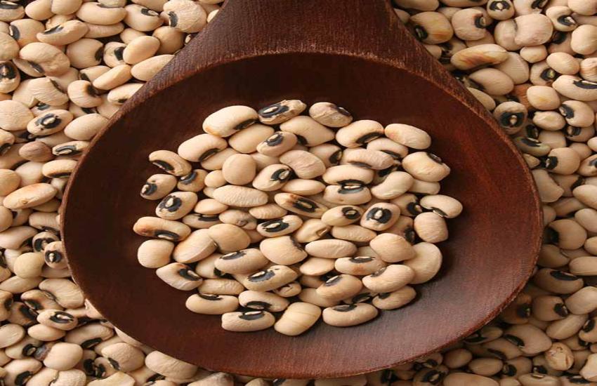 जानिए लोबिया खाने से शरीर को क्या फायदे मिलते हैं benefits to the body by eating cowpea