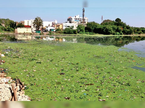 रायपुर में लगेगा STP, गंदा पानी साफ होकर जाएगा तालाब में, हाई कोर्ट से मिली अनुमती