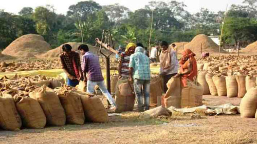 किसानों की मांग: लागत से डेढ़ गुना मूल्य पूरा साल मिले, फ़िलहाल 1 नवंबर से धान की खरीद हो