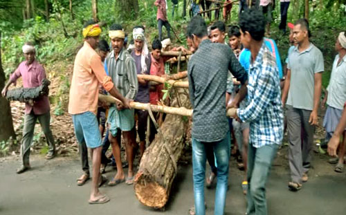 150 कारीगर मिलकर बनाएगें बस्तर दशहरे का रथ, 600 साल पुरानी परंपरा