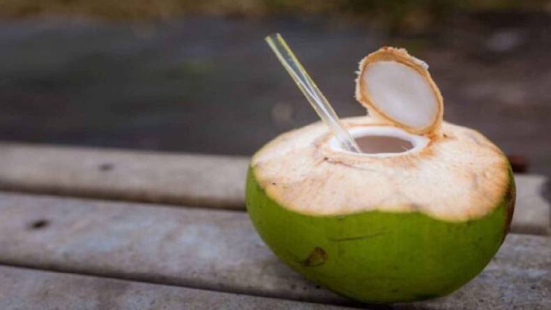 Coconut Water: गर्मी से राहत के लिए पी सकते हैं नारियल पानी, जानें कई तरह के फायदे