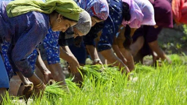 CG farmers: मुख्यमंत्री के इस फैसले से प्रदेश के किसान खुश, धान बेचने में मिलेगी सहूलियत