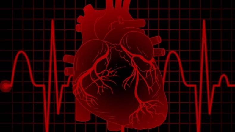 Heart rate: हार्ट रेट कितनी होनी चाहिए? नॉर्मल करने के उपाय