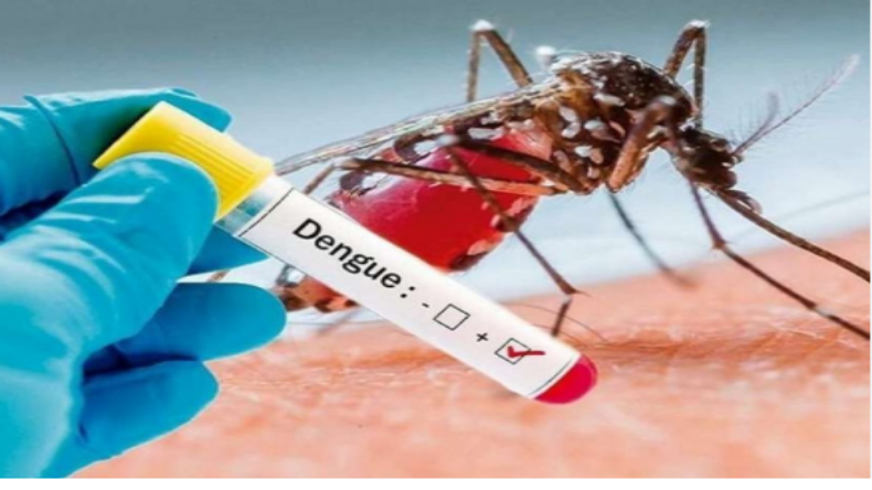 Dengue in Bhilai city: भिलाई शहर में अचानक बढ़े डेंगू के मामले, जानिए कौन सा इलाका बना रहा है हॉटस्पॉट