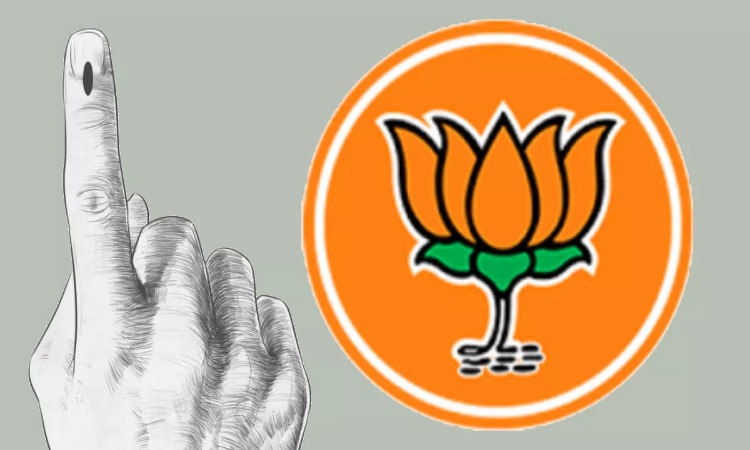 CG Election News: छत्तीसगढ़ में भाजपा की रणनीति तैयार, 30 सितंबर का होगा PM मोदी का दौरा