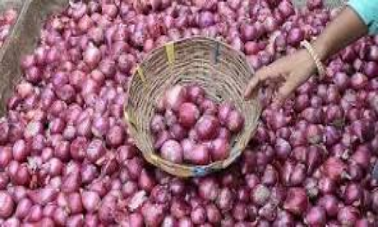 Onion Price: बाजार की कीमत से इतने रूपये सस्ता मिलेगा प्याज, जानिए सरकार की शानदार योजना