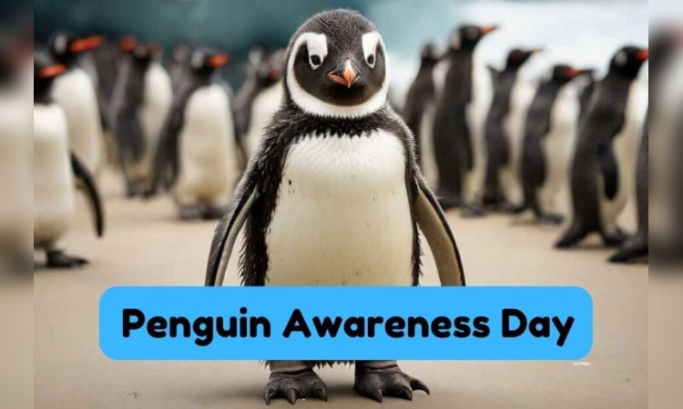 Penguin Awareness Day 2024: 20 जनुअरी को क्यों मनाया जाता है पेंगुइन दिवास, जानें  इसके कारण