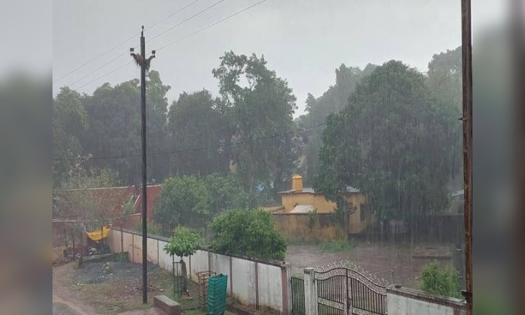 Chhattisgarh Weather News: छत्‍तीसगढ़ में कड़ाके की सर्दी  का कहर जारी, इतने  तक लुढ़का दिन का तापमान