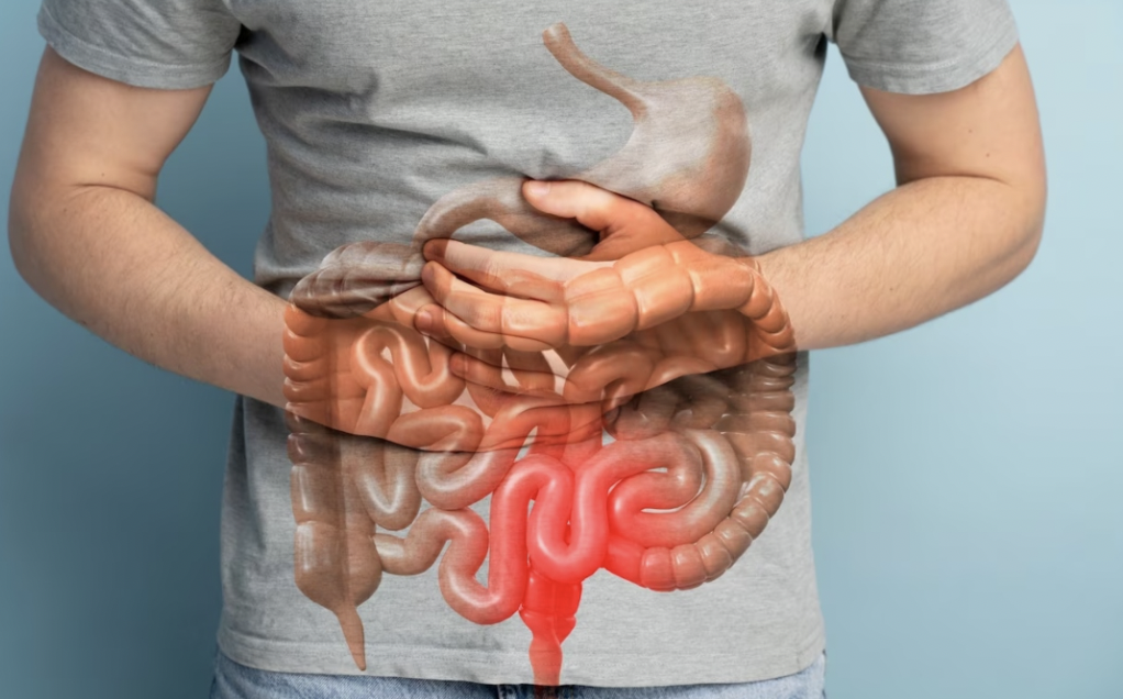 World Digestive Health Day: पेट की खराबी से दिमाग पर पड़ता है असर, जानें कैसे बनाए संतुलन