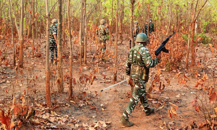 Naxal encounter: बीजापुर में अबतक 12 नक्सली ढेर, जवानों का सर्च ऑपरेशन जारी