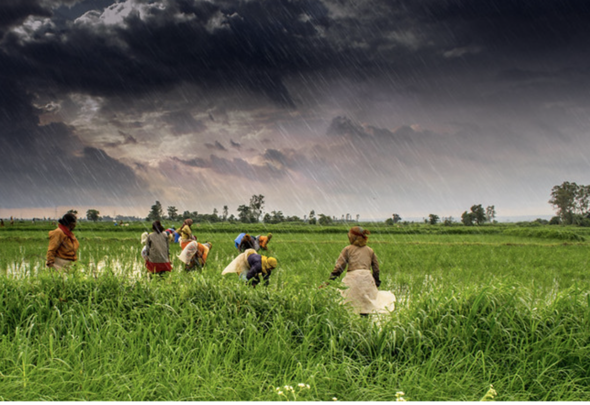 CG Weather Update: छत्तीसगढ़ में मानसून की दस्तक, किसानों की उम्मीदें जगीं