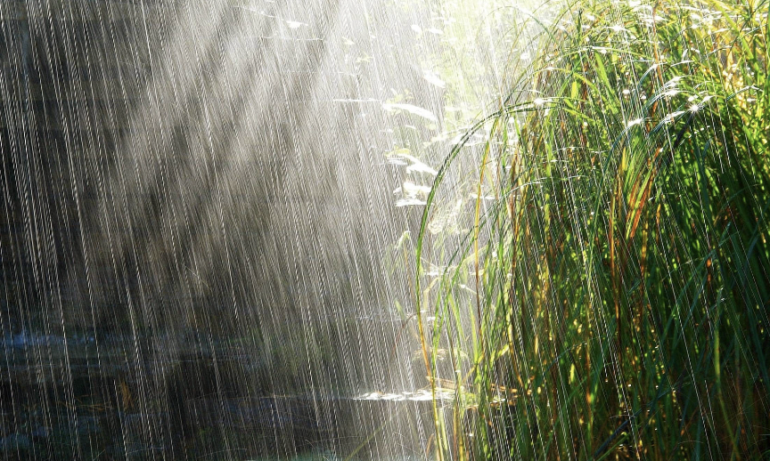 CG Weather Update: छत्तीसगढ़ में भारी बारिश का अलर्ट, सरगुजा और बिलासपुर में ज्यादा असर