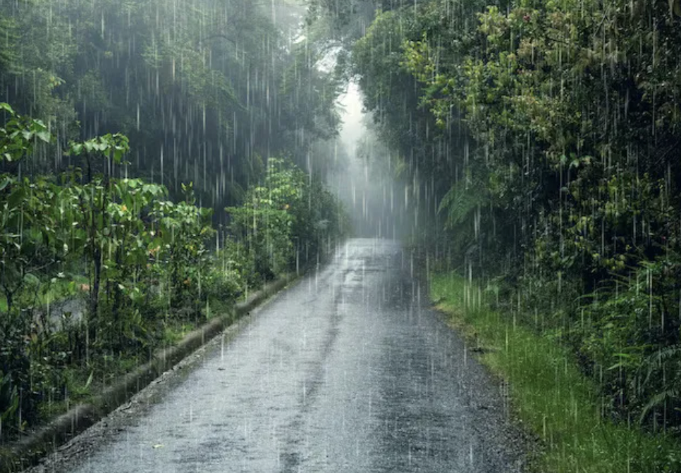 CG Weather Update: छत्तीसगढ़ के कई हिस्सों में बारिश से बाढ़ जैसे हालात, अगली 2 दिन में हो सकता है सुधार